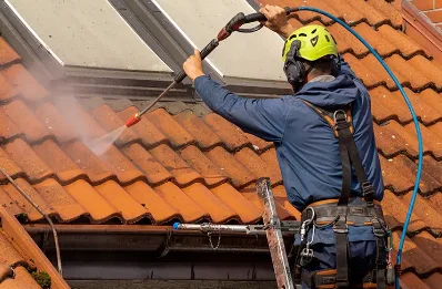 Démoussage et hydrofuge de toiture à Larbey
